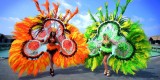 Rio Carnival Costume: Everything You Need to Know for the Best Experience