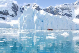 Awesome Marine Life in the Ocean Surrounding Antarctica